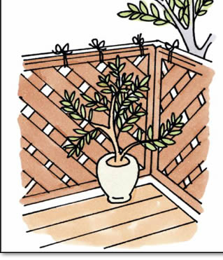 ���e�B�X��t����